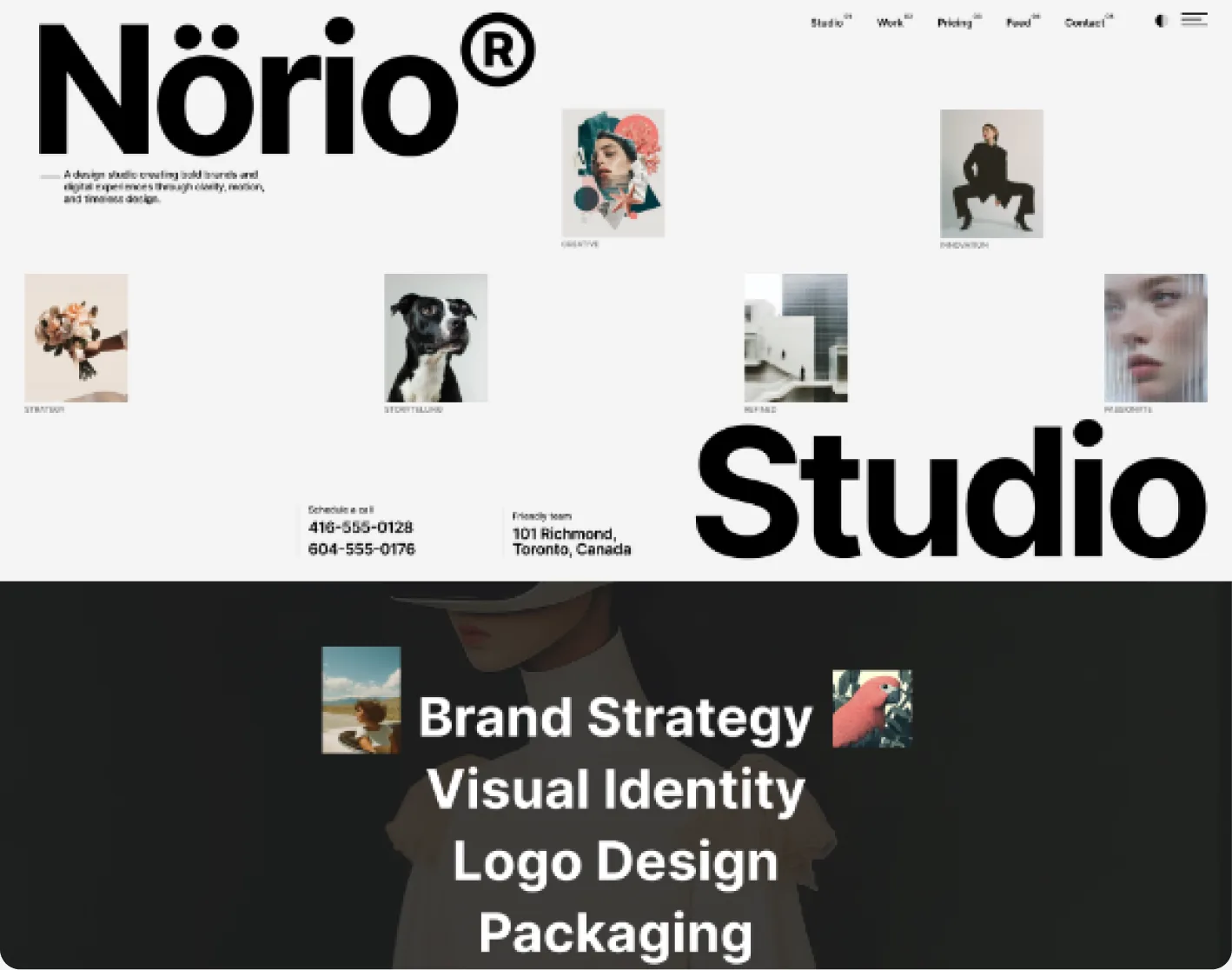 Digital Startup preview